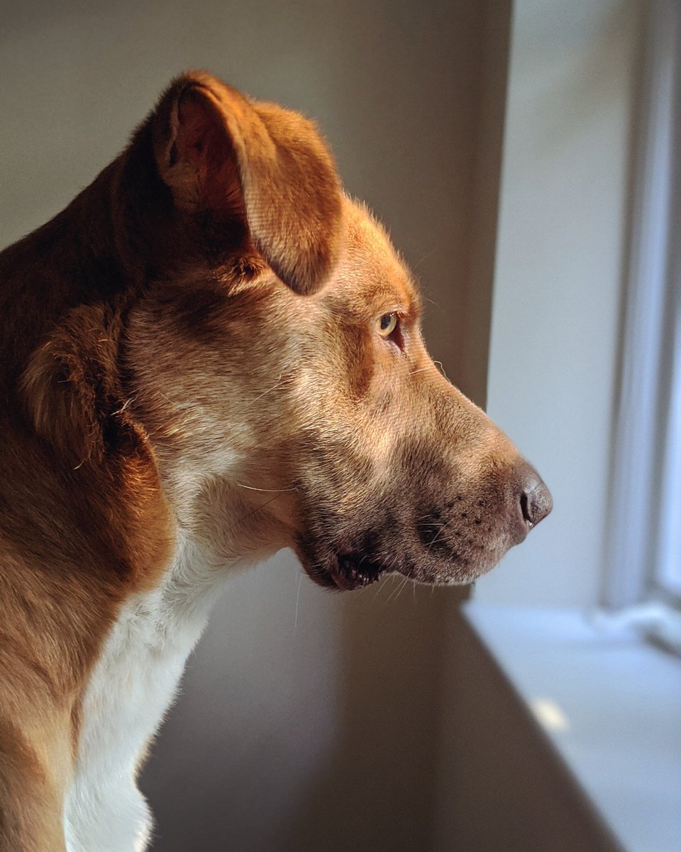 Madeline Thomas tweet media