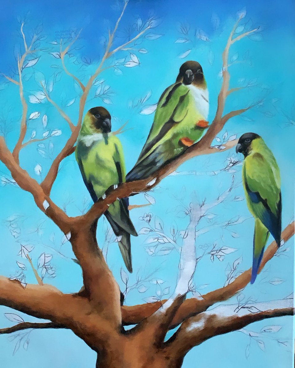 ABRatna1's tweet photo. Work in progress 
18” x 24” #triptychart center panel, commissioned painting
#oilonlinen #oilpainting #oiloncanvas #Artist #artontwitter #nandayparakeet #birds #fineart https://t.co/F4km7H2q1L