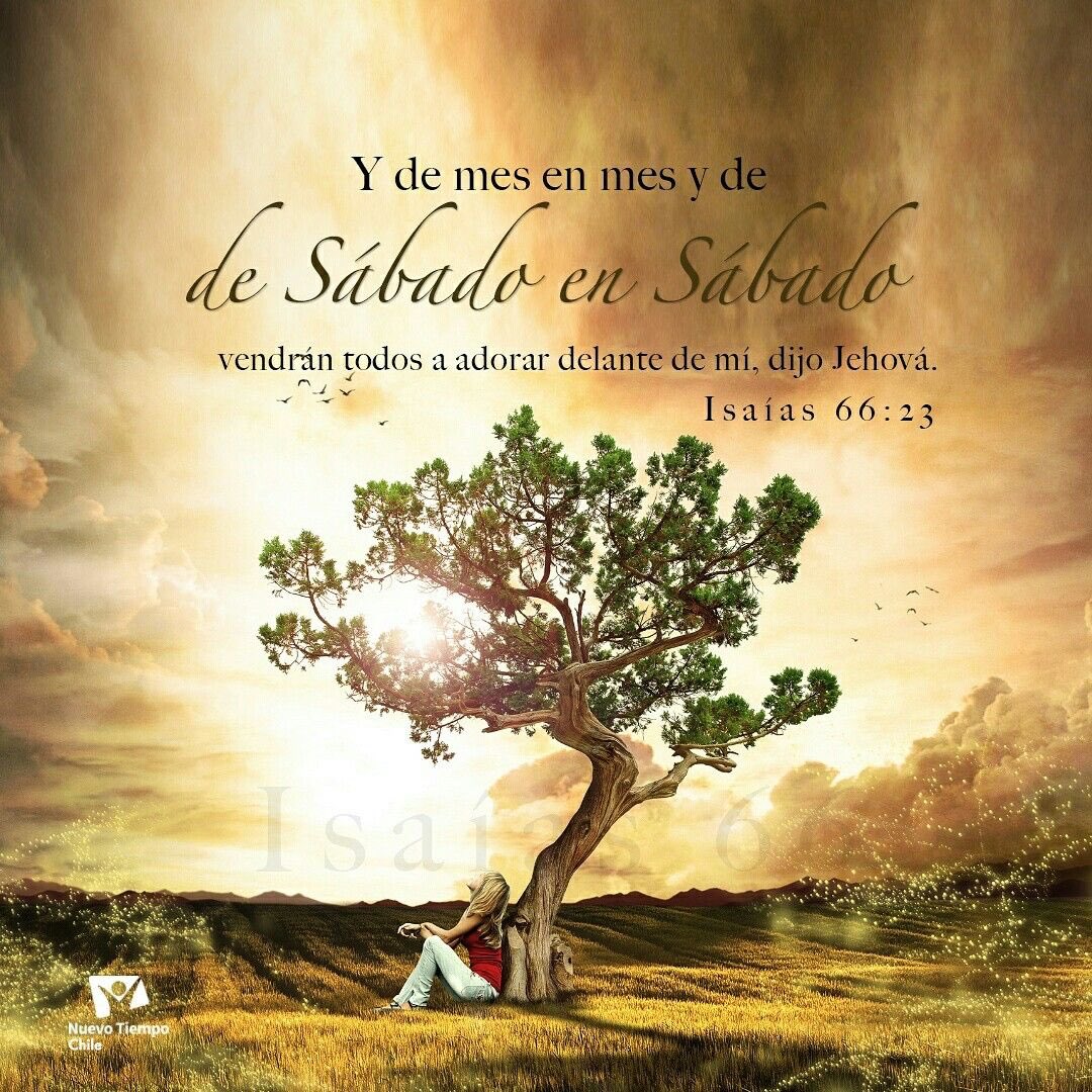 #PrimeroDios #rpsp Isa. 66.
“Así que mientras duren los cielos y la tierra el sábado continuará siendo una señal del poder creador. Cuando el Edén vuelva a florecer en la tierra, el santo día de reposo de Dios será honrado por todos los que moren debajo del sol" (FV 39.3).