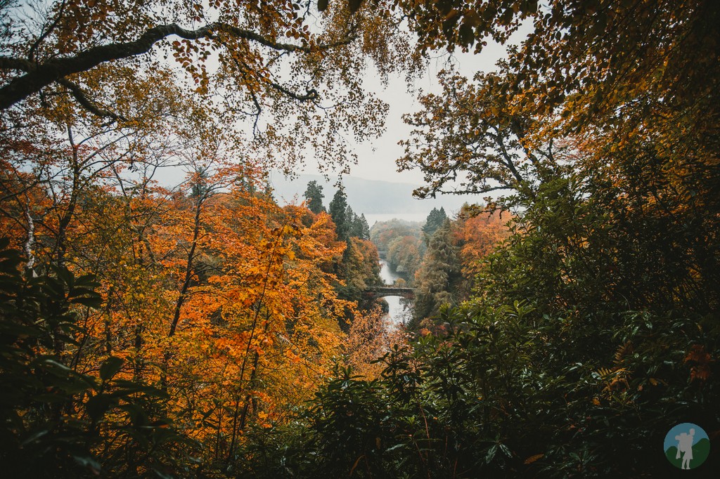 travelwithakilt's tweet photo. AD Stunning autumnal scenes in damp conditions at Loch Ness last week! #Scotland
{In partnership with Visit Inverness/Loch Ness and @VisitScotland} https://t.co/sSAM2OYGyT