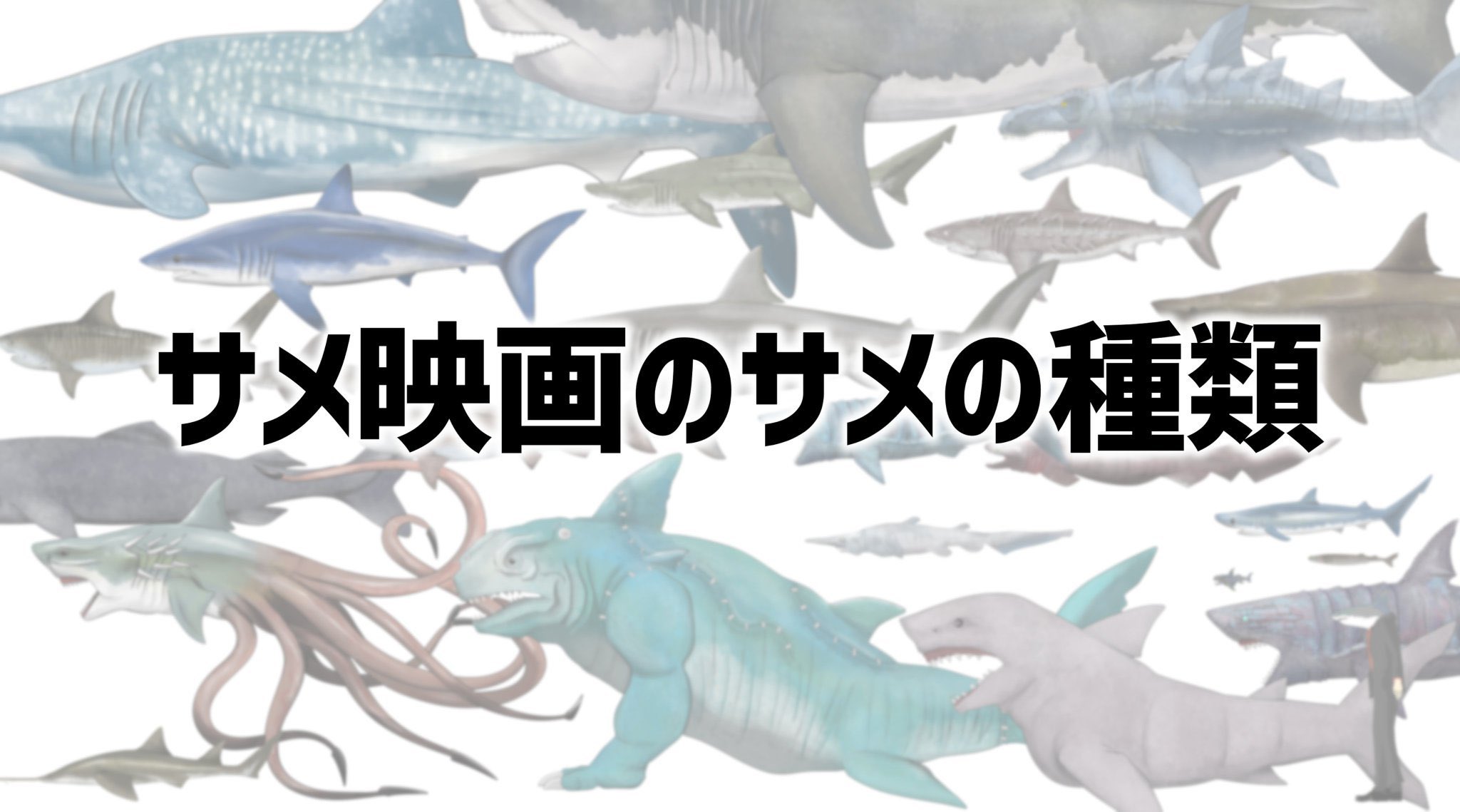 権田メサ バーチャルサメ人間 宣伝になります サメ映画を サメの種類 をテーマにドドンと紹介94作品 全て観ました統計取りました描きました編をyoutubeにて明日の夜投稿致します イラスト素材も配布致します T Co N0sr6twddo T