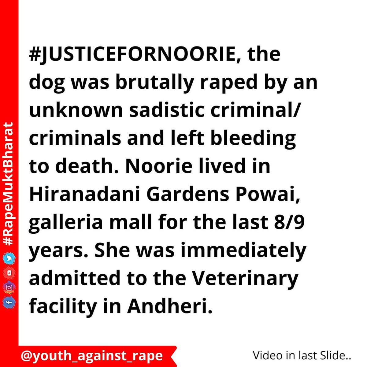 sai_rohith99's tweet photo. Noorie a friendly dog who is a part of nature a few perverts brutally raped her and also inserted a 1qinch rod in her private part 
Humanity goes on diminishing in society 
Even dogs has no security
I hope such to get a serious punishment by court of law https://t.co/gXpeMa6EYr
