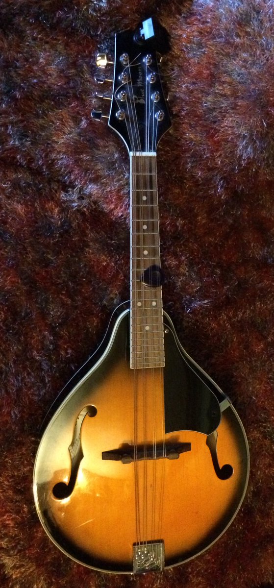 TubbyBats's tweet image. The #Mandolin is out it’s case for another try. The last time the resonance effected my op scars 🤞 it should be ok now. #learninganinstrument