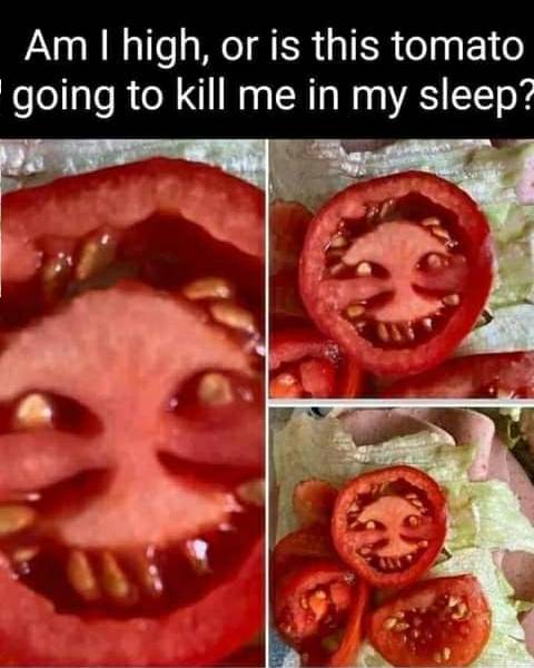 trinitytpt's tweet image. #tomato #evil #ghost #possessed #thepurge #exorcist #ghosthunting #ghosts #halloween #halloween2020 #haunted #paranormal