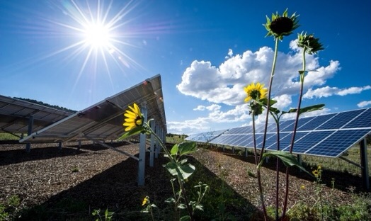 CE4BidenGA's tweet photo. Hope you guys had a beautiful weekend!
If you like our posts please share tag comment!
Only a few days to go and we need all hands on deck. Who do you know who still needs to vote? Help them! Give them a ride!
#cleanenergyforbiden #ce4b #bidencleanenergyplan #bidenharris2020 https://t.co/jLYjnzGt3W