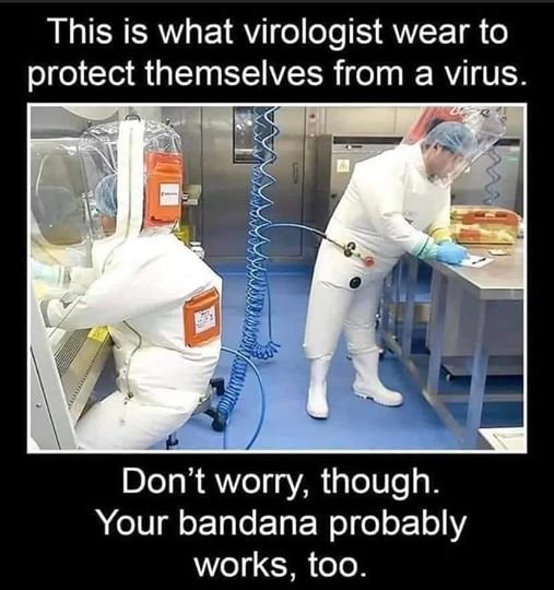 2020 recapped in images--NOT chronological