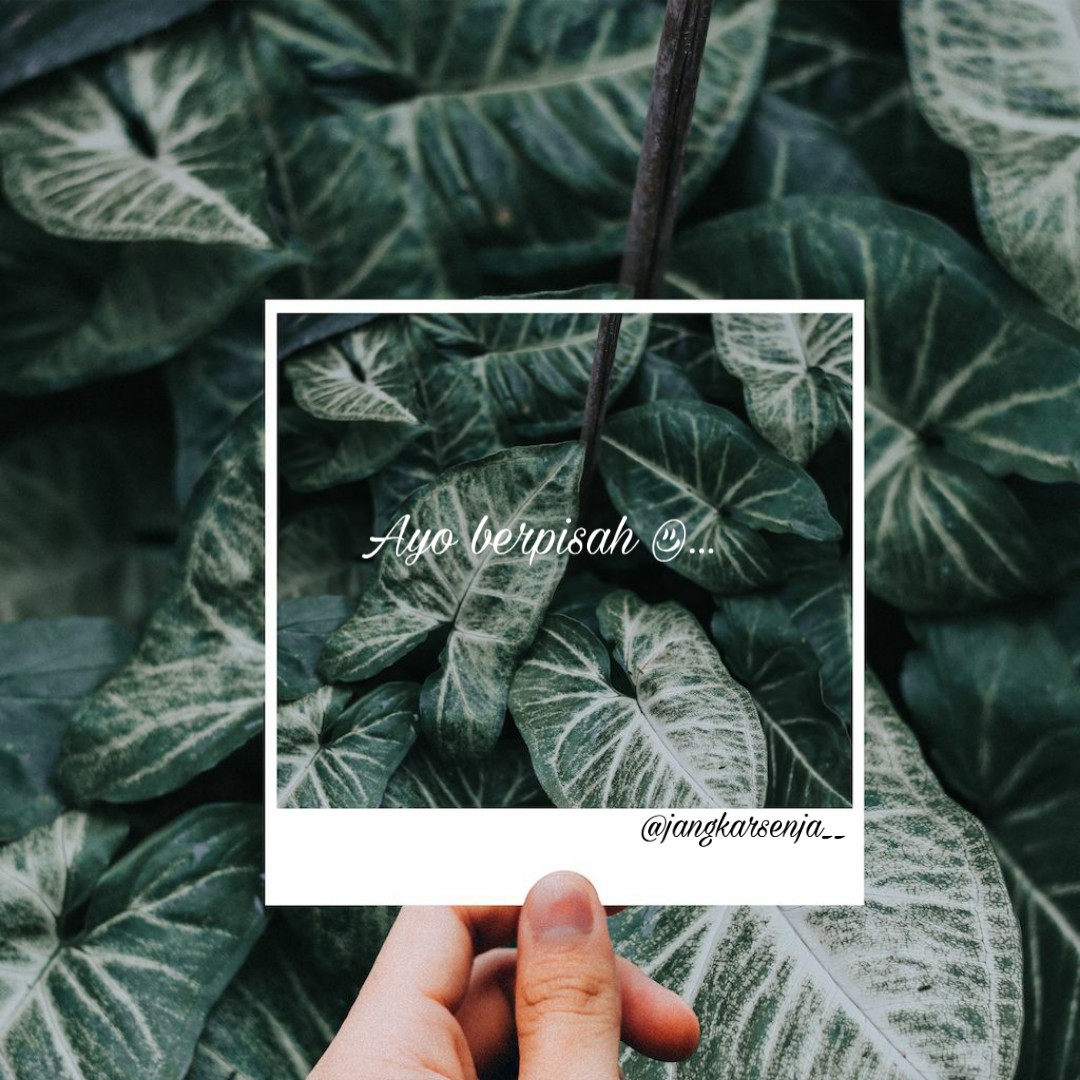 TriyaChan's tweet image. #puisi #senja    #katakatabijak  #katakata  #wattpad #wattpadstories #notes  #hijrah  #selfrespect #tiktok #chat #katakatamutiara #katakatamutiara #sajak #detik #sajakcinta #sajakmalam #kodepeka #kodekeras #sindirankeras #like #puisisenja #panorama #moodboster