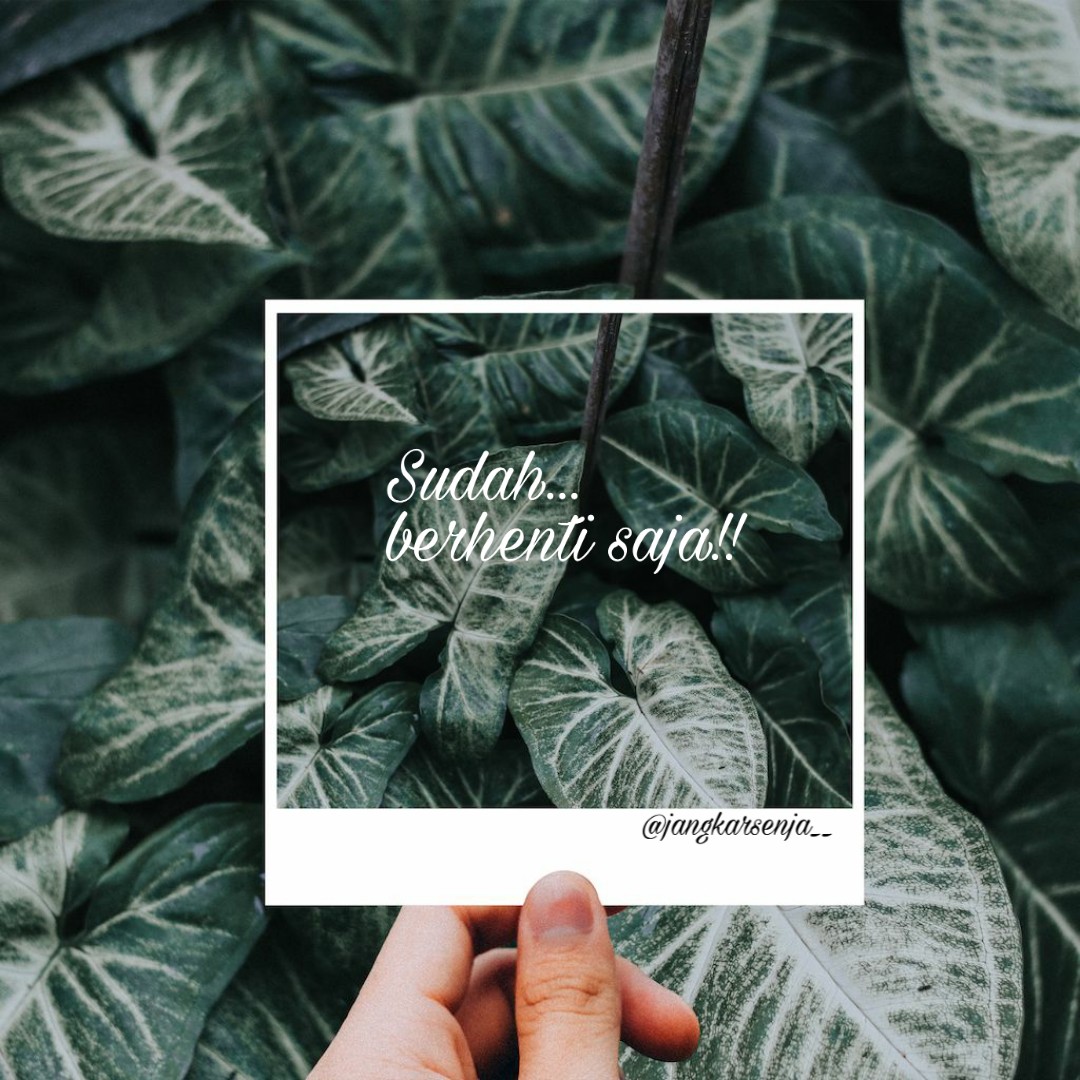 TriyaChan's tweet image. #puisi #senja    #katakatabijak  #katakata  #wattpad #wattpadstories #notes  #hijrah  #selfrespect #tiktok #chat #katakatamutiara #katakatamutiara #sajak #detik #sajakcinta #sajakmalam #kodepeka #kodekeras #sindirankeras #like #puisisenja #panorama #moodboster