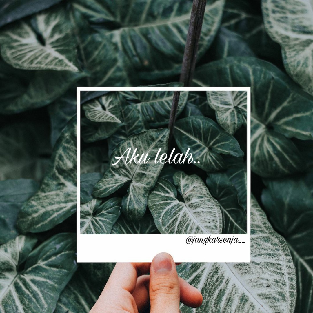 TriyaChan's tweet image. #puisi #senja    #katakatabijak  #katakata  #wattpad #wattpadstories #notes  #hijrah  #selfrespect #tiktok #chat #katakatamutiara #katakatamutiara #sajak #detik #sajakcinta #sajakmalam #kodepeka #kodekeras #sindirankeras #like #puisisenja #panorama #moodboster