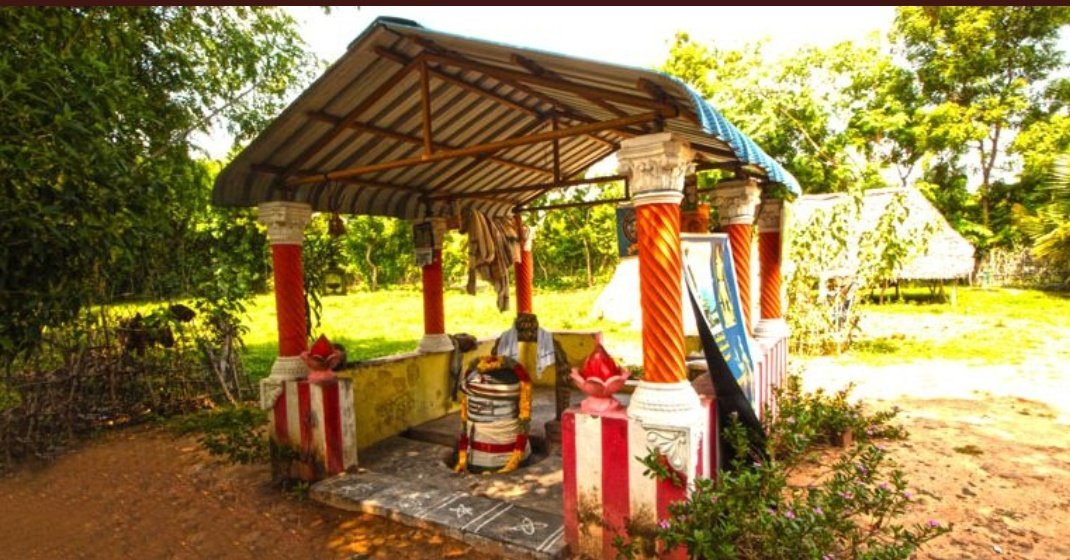  #RajaRajaChola built so many grand temples & monuments but we could not gjve him a properly built samadhi. See the samadhi of Raja Raja chola built in a hut.