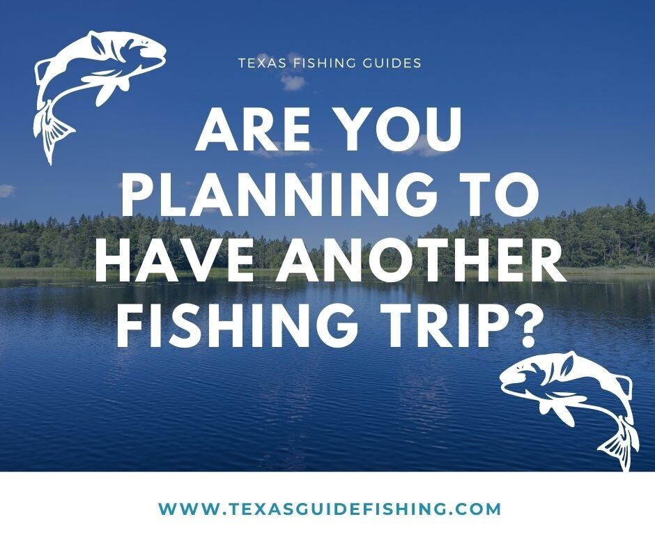 Are you dreading another 😔 unsuccessful fishing trip? 🙌 Discover bass fishing in Texas and how to lure even the 🐟 shyest fish to 🎣 your hook. bit.ly/2G77IqG #texas #bassfishing #trip