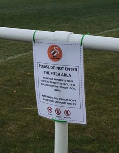 We love dogs.

We especially love dogs that wear AFC Alsager shirts😆

Please help us by keeping your dogs off of the pitch area.

Responsible dog owners don't allow dogs on sports pitches.

#AFCAlsager  #Alsager