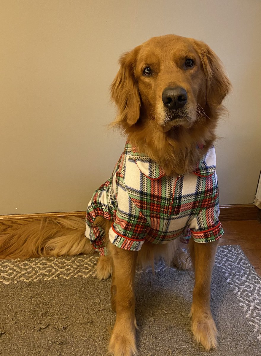 grade5phes's tweet photo. @PershingHillES @grade5phes We love PJ day! #PHESpride #PetsofAACPS https://t.co/x7ld7q9uuA