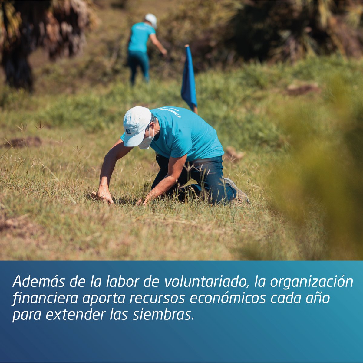 Popularenlinea's tweet photo. #SiembraPopular #BancaResponsable #ObjetivosdeDesarrolloSostenible #Bienestar #MedioambienteyCambioClimático #ResponsibleBanking #UnidosNadaNosDetiene #TodoSaldráBien #TocamosVida #ODS #DíaInternacionaldelaLuchacontraelCambioClimático https://t.co/FAZt0AYPJm