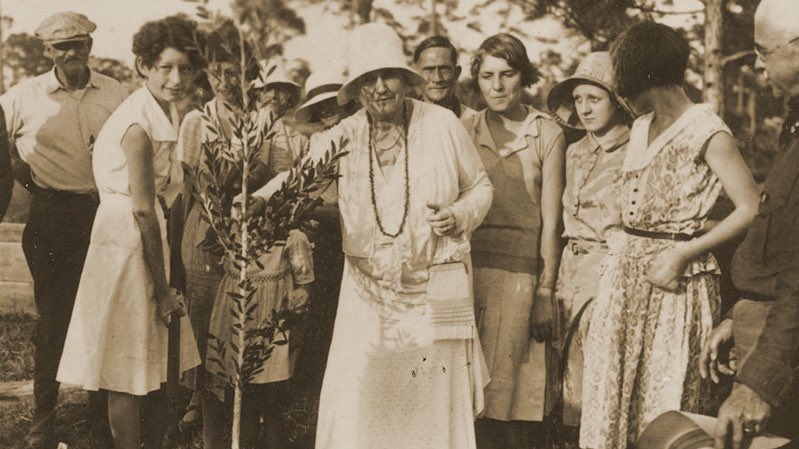 Mina Edison founded 12 garden clubs in Fort Myers in order to better organize the beautification of the once cattle town into a modern city