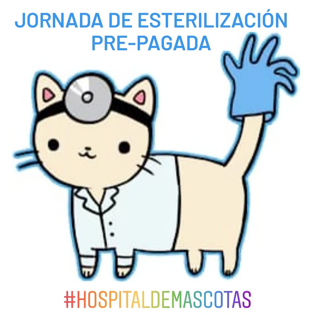 Jornada de esterilización Pre-pagada Info 04144378286 Llama o envíanos un mensaje al WhatsApp para agendar tu cita.