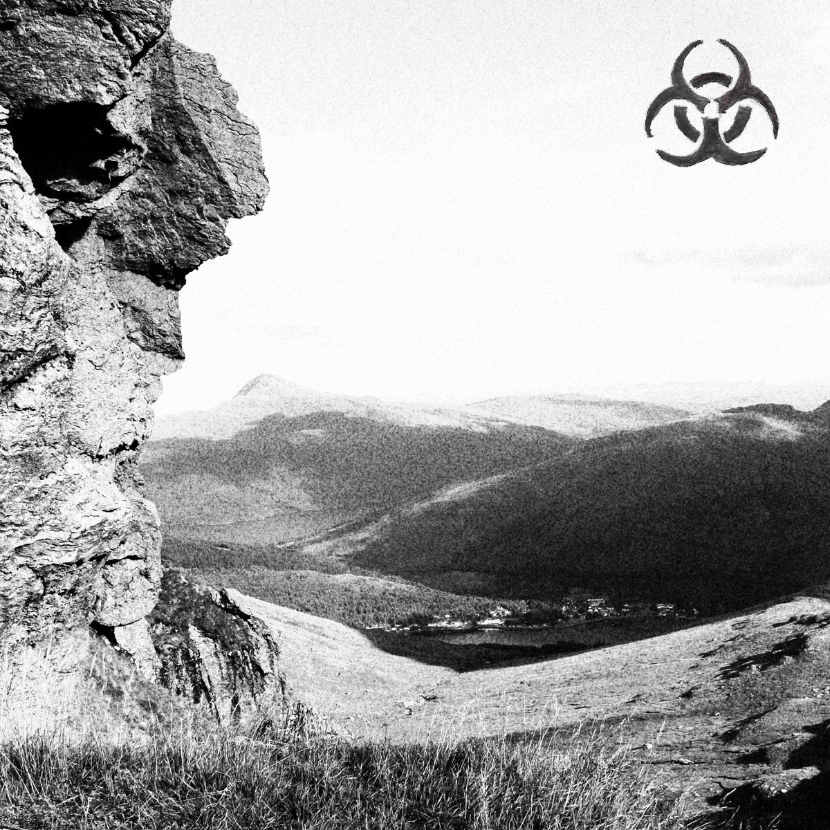 Flying Penguins tweet media