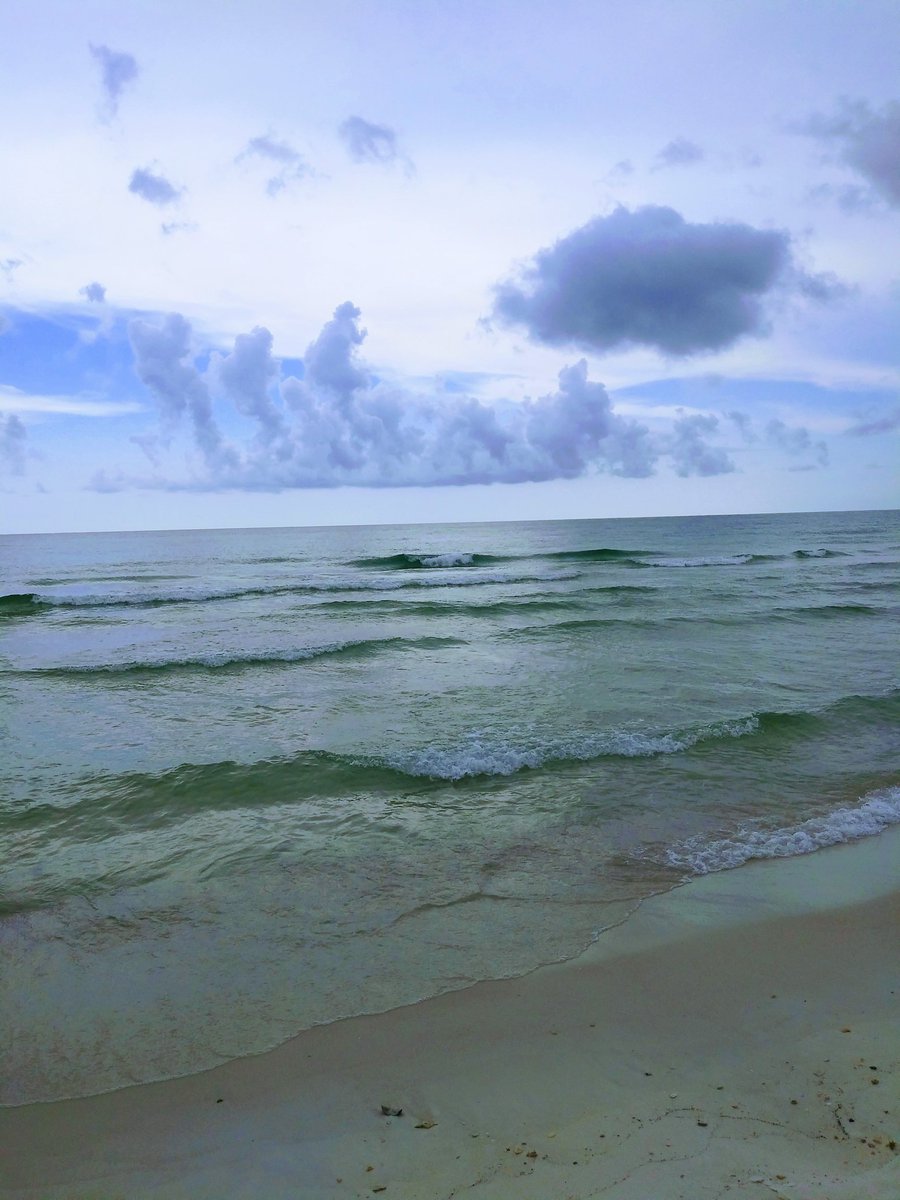 2020 recapped in images--NOT chronological