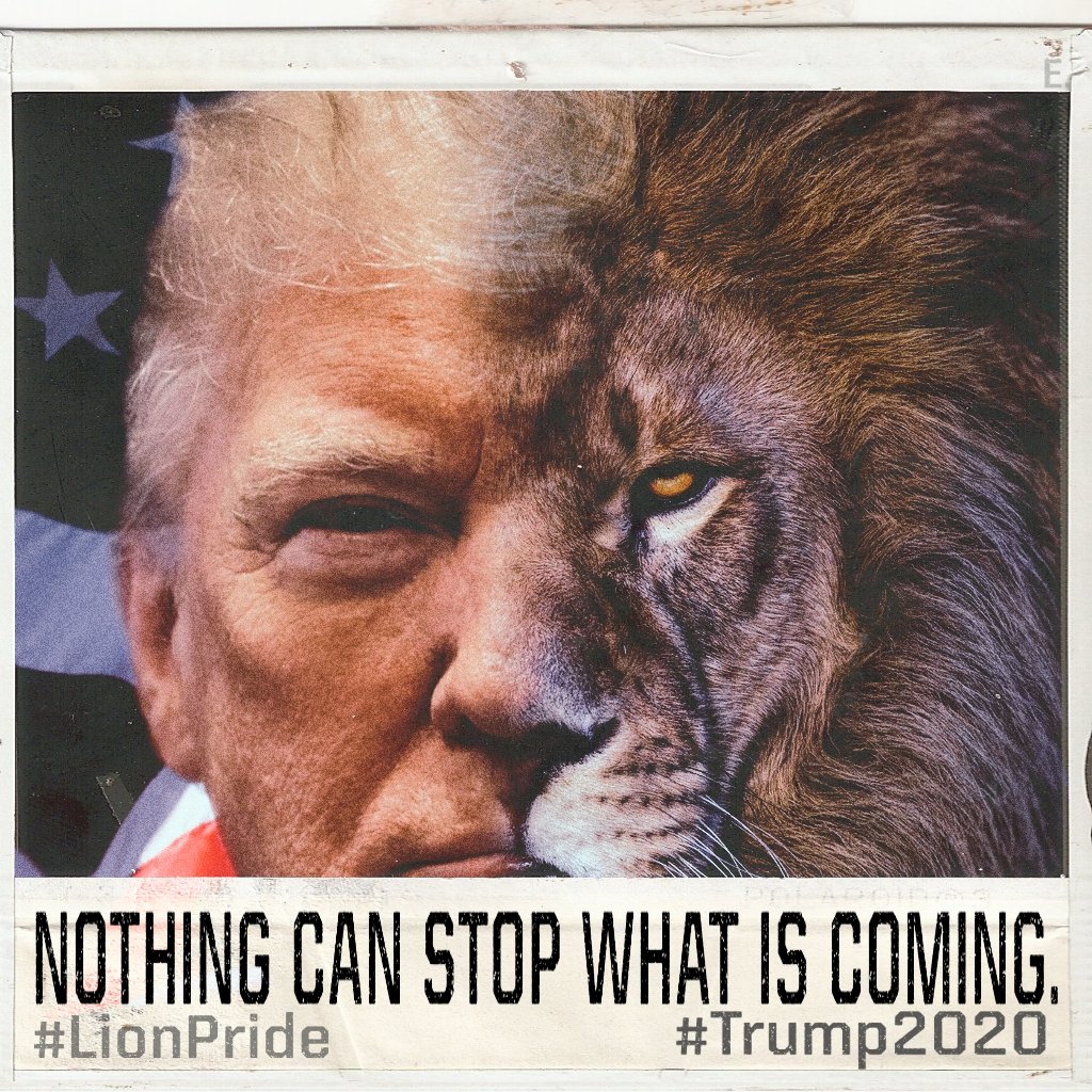 2020 recapped in images--NOT chronological