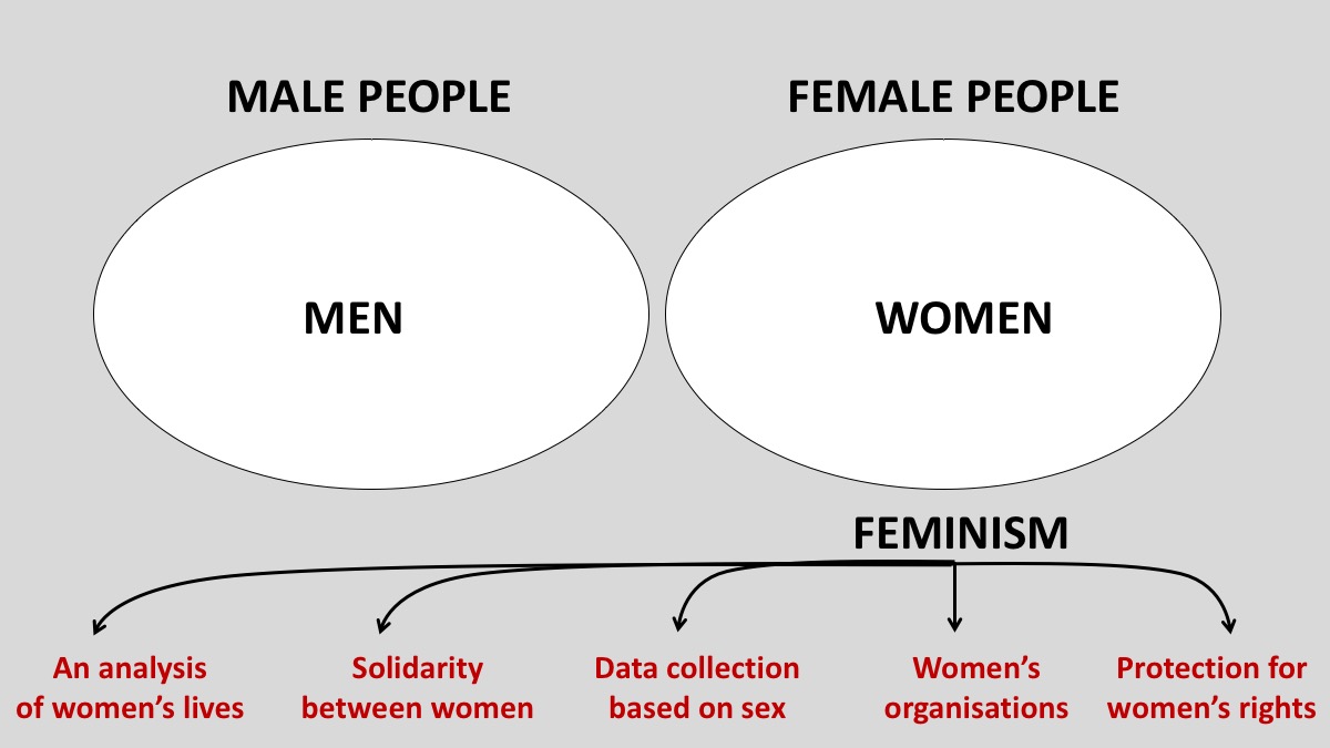 Feminist political organising, combined with (and enabled by) material progress - electricity, washing machines, contraception etc... has enabled greater equality for women