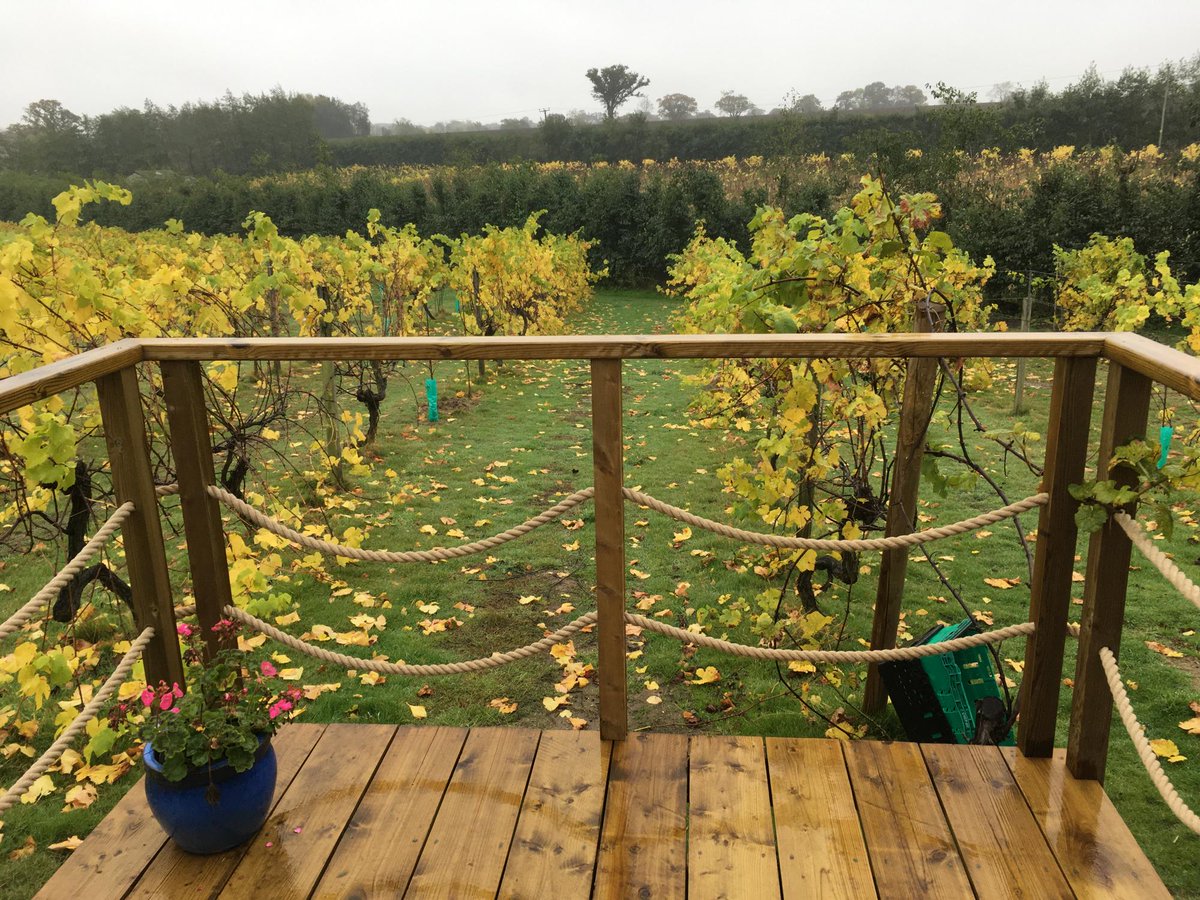 coolplacesuk's tweet photo. We know the guidelines are changing quickly but for the moment it is still possible to get away &amp; we have some beautiful remote properties. This cosy cabin is situated in the middle of a Suffolk vineyard so it's perfect for wine lovers.
@VFVineyards 
https://t.co/LcQoQbrMD7 https://t.co/Egl1kgHWKp