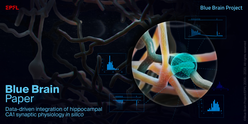 In a front cover paper published in the journal Hippocampus, Blue Brain researchers present a data-driven approach to integrate the current knowledge on the hippocampal CA1 region using an open-access, comprehensive resource.
doi.org/10.1002/hipo.2…
<a href="/andris_ecker/">András Ecker</a> <a href="/srikipedia/">Srikanth Ramaswamy</a>