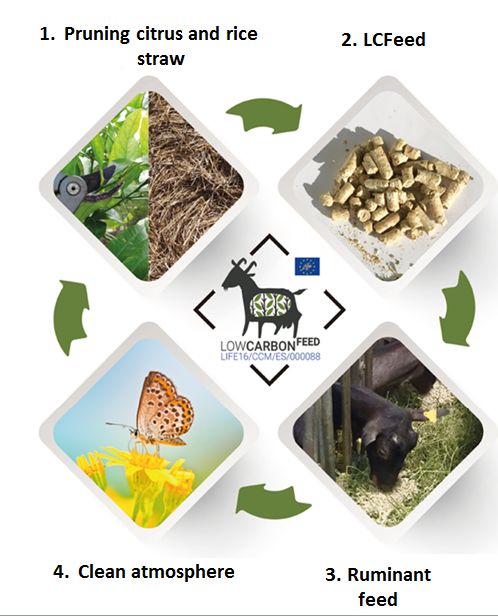 🌱El proyecto Low Carbon Feed supone el avance hacia una economía eficiente en el uso de los recursos, hipocarbónica y resiliente ante el clima, siendo éste uno de los objetivos climáticos perseguidos por el programa LIFE.
👉 lifelowcarbonfeed.com