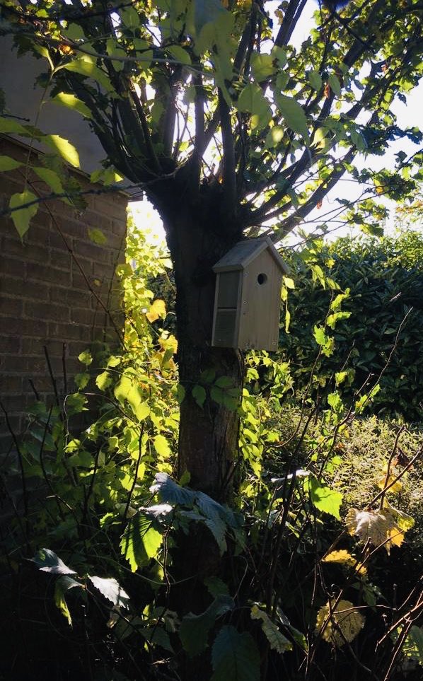 (On)Benut Breda tweet media