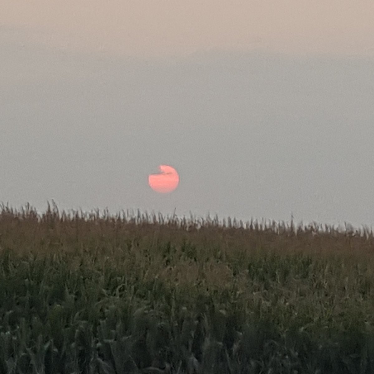 2020 recapped in images--NOT chronological