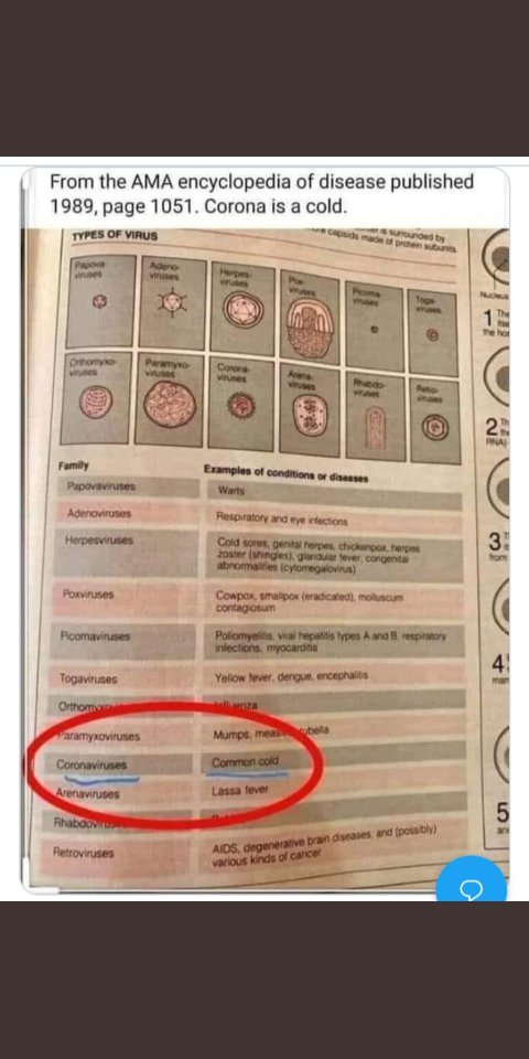 2020 recapped in images--NOT chronological