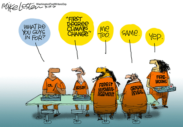 2020 recapped in images--NOT chronological