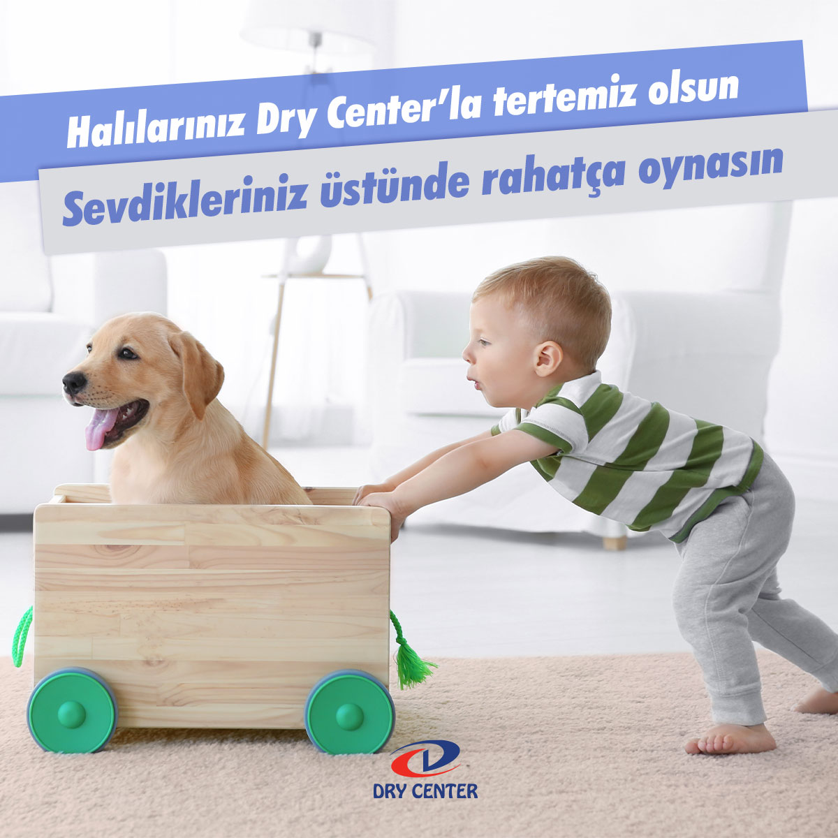 drycenter's tweet photo. Sevdikleriniz her zaman rahatça oynasın istiyorsanız 444 4 379 çağrı merkezimizi arayın, servisimiz kapınıza gelsin. Üstelik 9,9 TL/m2 ‘den başlayan fiyatlarla!

Adrese servis için 👉🏻 
https://t.co/hjDvC0EdKz

#DryCenter #kurutemizleme #hijyen #temizlik #halıyıkama https://t.co/Qt8dfu653A