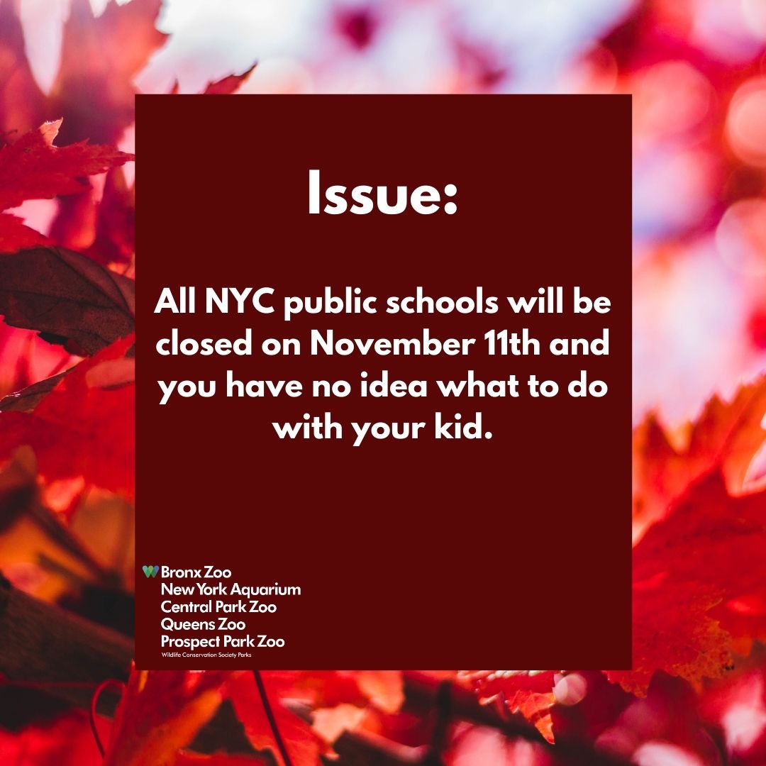 NYC public schools are closed on Wed. 11/11 in observance of #VeteransDay, but our parks are WAYYY open. Explore your favorite NYC zoo or aquarium with an #OutdoorAdventure or #ScavengerHunt. Admission included! More info & sign up: https://t.co/mazelqxASU https://t.co/ncmxmi2bEM
