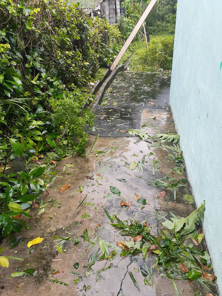 After typhoon 'Quinta' passed through our area at Signal #3...cleaning time. And we just got back the electricity! Thank God for keeping us Safe.🙏😊

#QuintaPH #Quinta #Typhoon #SignalNumber3 #typhoonquinta #StormyDay #ThankYouGOD #WeAreSafe