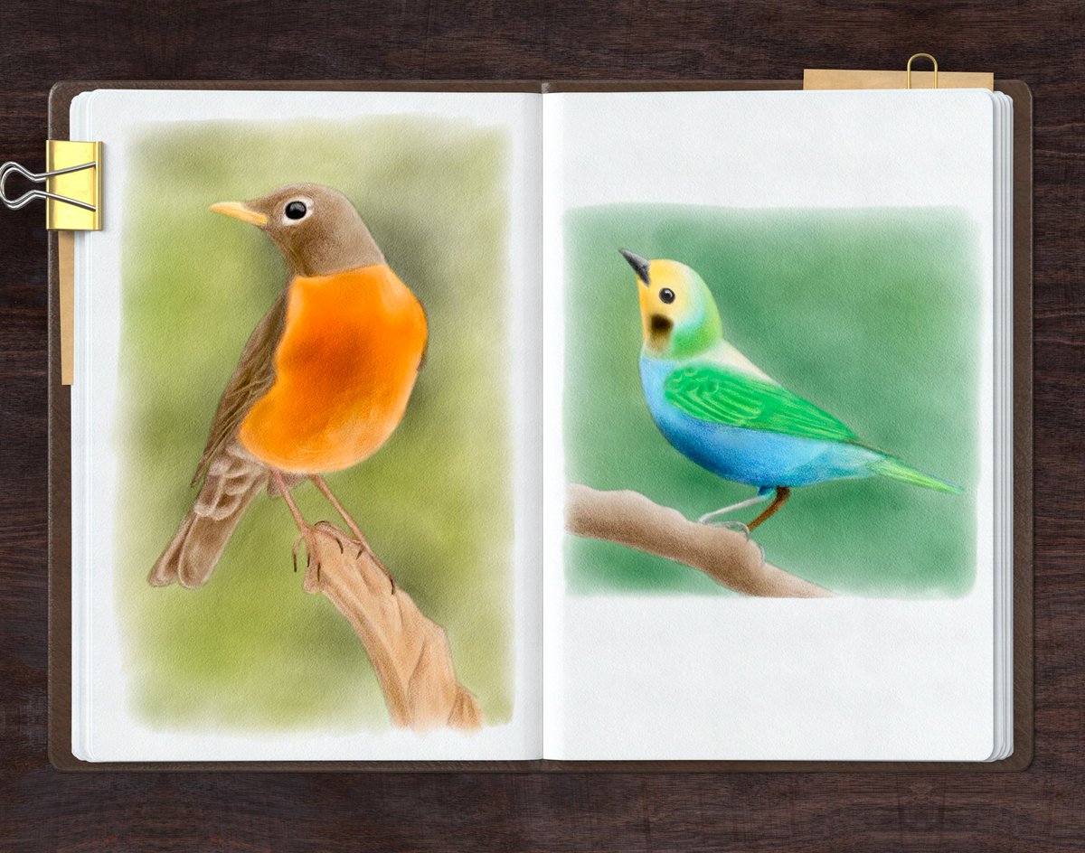 ShannenMorrigan's tweet photo. Birdies painted in #RealisticPaintStudio using #HuionCamvas22Plus. @RealisticPaintS @HuionTab #digitalart #digitalpainting #art https://t.co/Vwk2pQnsdy