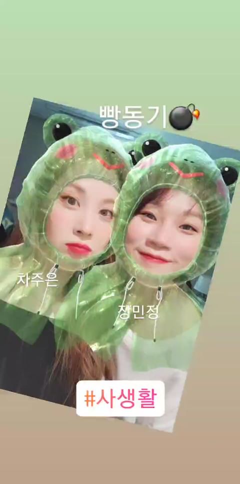 Seostagram tweet media