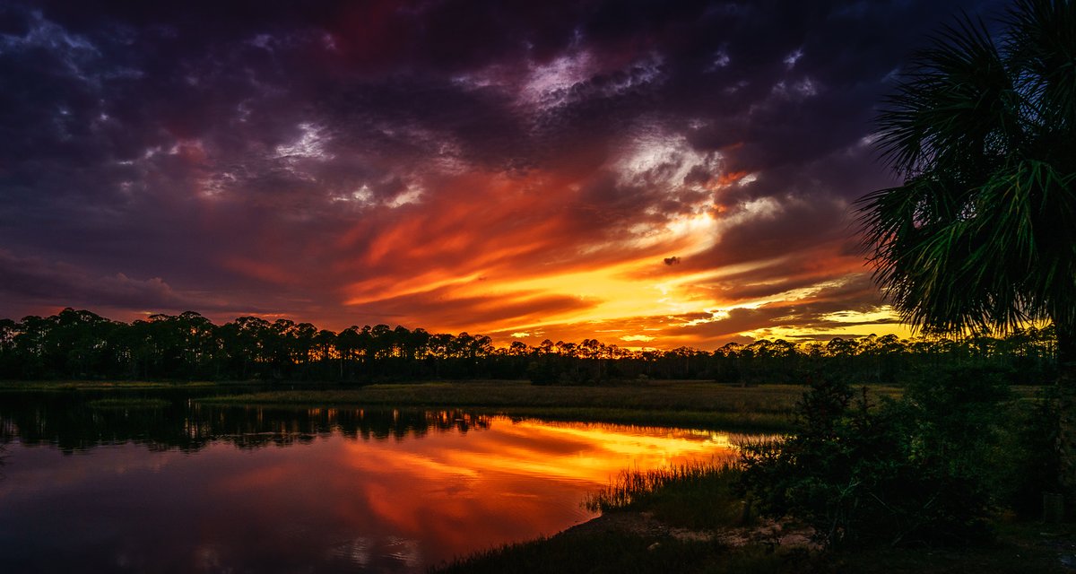 WesGibsonPhoto's tweet photo. After overcast skies and a pending sunset killed my bird photography, I moved to another site in hopes of a good sunset. This was one of those sunsets where every time I thought I was done and returned to my truck, the skies would turn even more beautiful. #florida #sunset https://t.co/OaMmI0x2BY