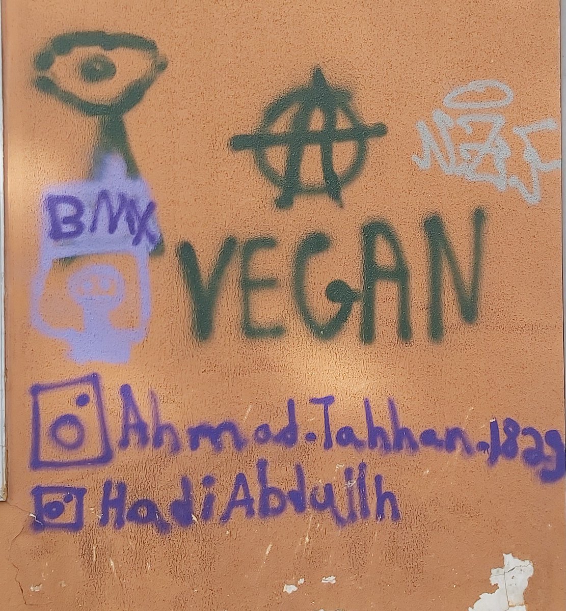 12/ I don't have anything against vegans but damn you guys are loud (and everywhere). PS: Don't forget to follow Ahmad and Hadi on Instagram and make sure to call them activists.