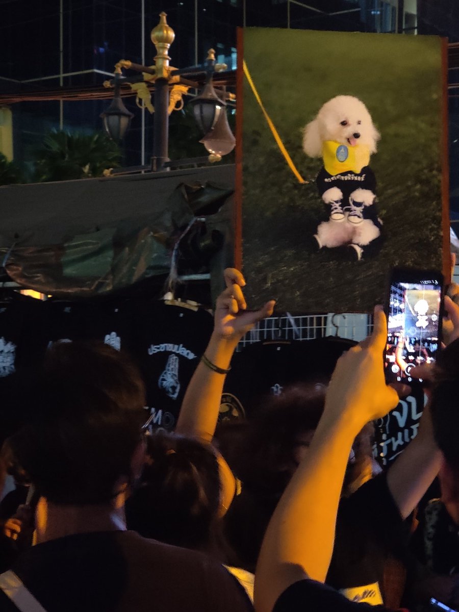 Serbirus01's tweet photo. #Respectทีมแพทย์อาสา มาก นี่เจอคนเป็นลม ทีมแพทย์ทำงานไวมาก ผู้ร่วมชุมนุมทุกคนรวมแรงรวมใจกันดีมาก แม้แต่ถ่าน AAA ที่ทีมแพทย์ขอ ยังหาได้จากการตะโกนต่อๆกัน นับถือน้ำใจพี่น้องทุกคนมาก

ปล.ไม่ลงรูปแพทย์นะ

#ม็อบ26ตุลา https://t.co/U3XJ0BcriM