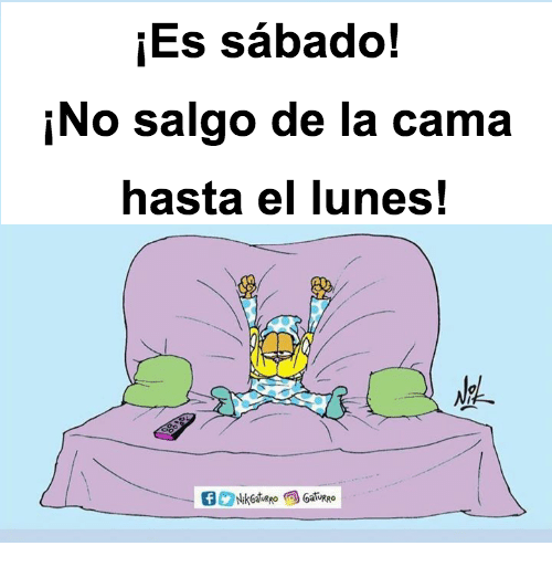 Lina Rubina tweet media