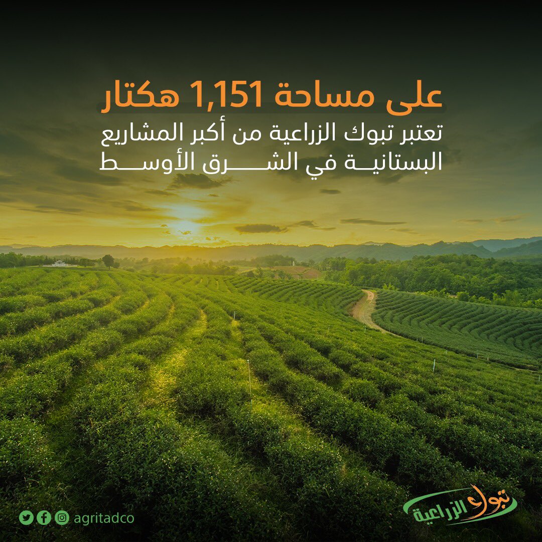 Darling Paving Harvest منتجات شركة تبوك الزراعية Wendywalksback Com