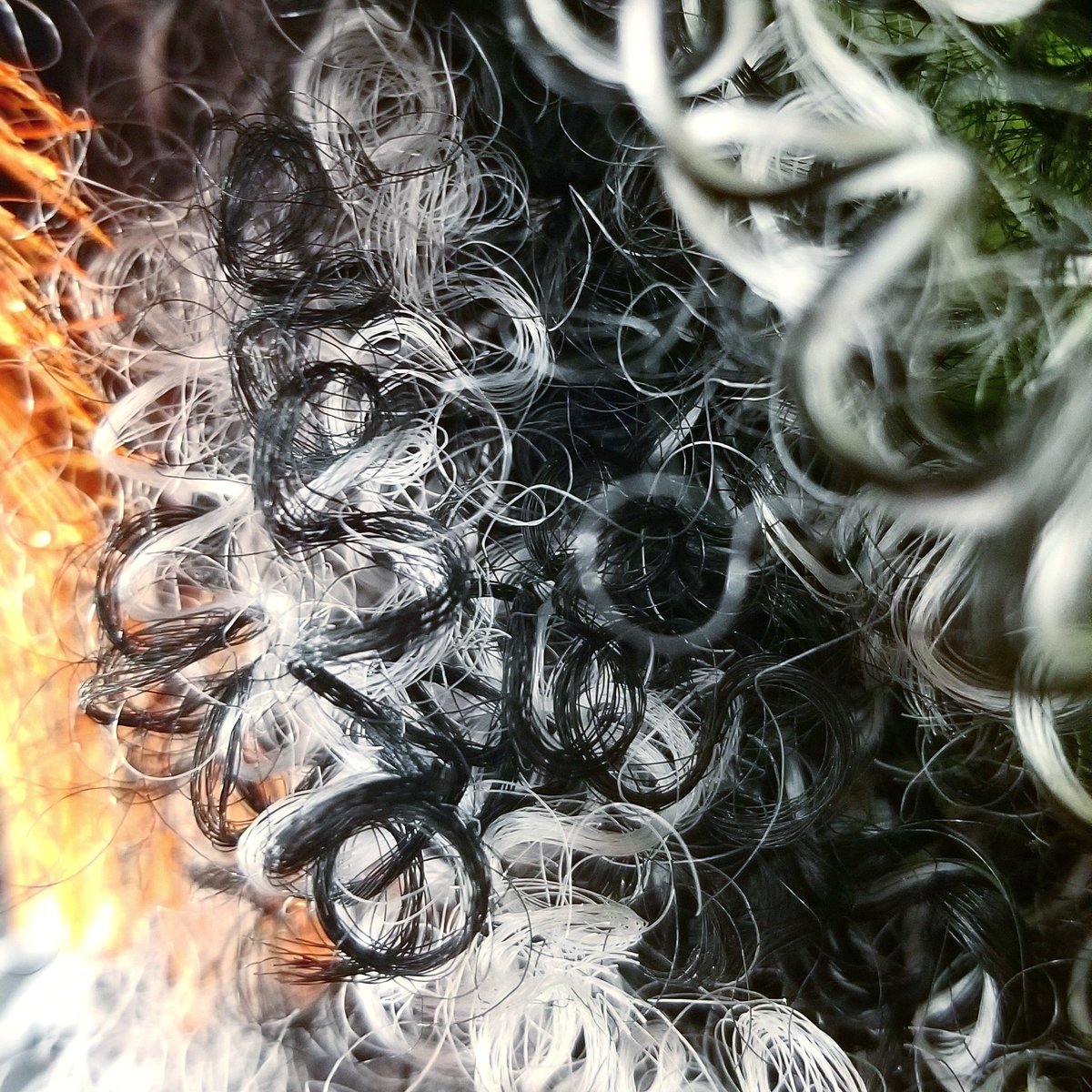 _TheMoMo's tweet photo. Texture of the day- Wig https://t.co/DL9K6WIgxO