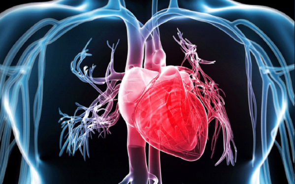 Royal Brompton and Harefield tweet media