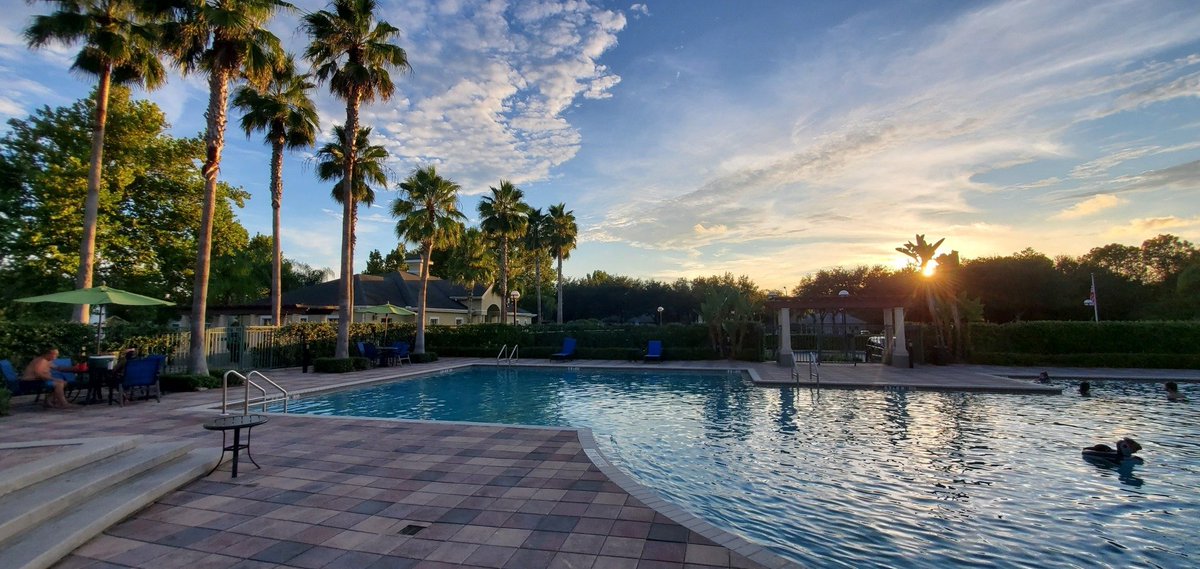 WalkerTree2017's tweet image. Property Managers, Are Sagging Palms and Encroaching Trees Residents First Impression? This Helps.

walkertreeservices.com/property-manag…

#WalkerTreeService #TreeRemoval #LargeTreeRemoval #TreeTrimming #PropertyManager #CommercialTreeService