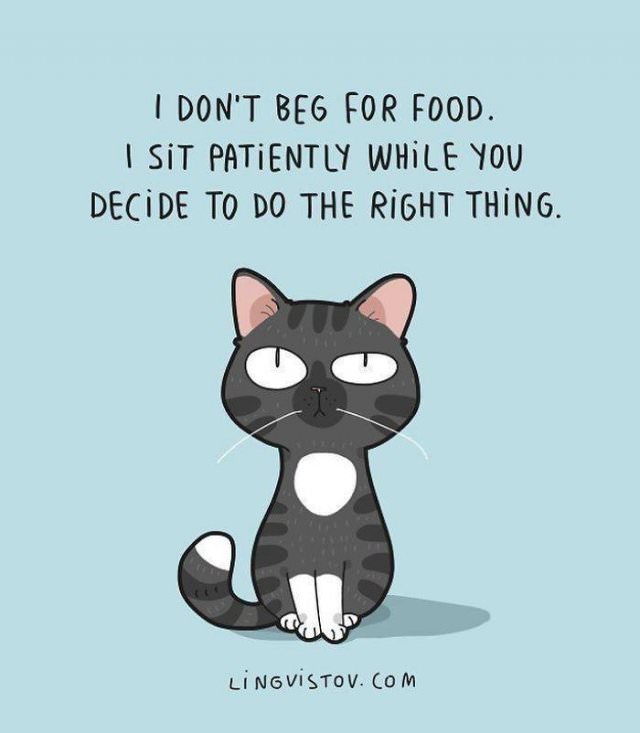 Do the right thing this #MeowMonday. 😉🐈⬛
#cats #comics #CatsofTwitter https://t.co/pBNOZsJaS4