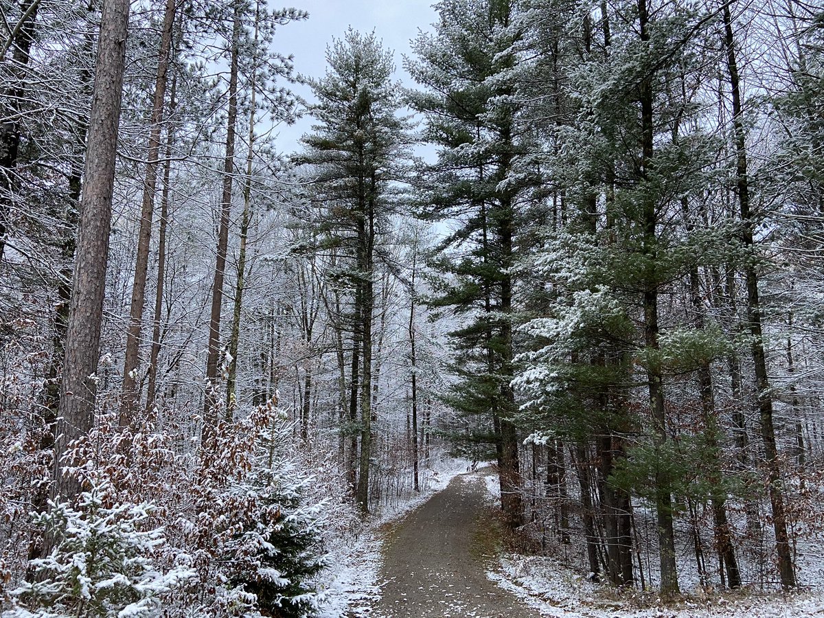 ErinDeeNews's tweet photo. Good morning from Wausaukee! #wiwx #wisconsinsnow https://t.co/lnzl3R8YhV