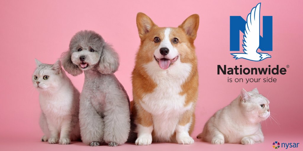 NYSAR_News's tweet photo. Veterinary Pet Insurance® by Nationwide provides affordable pet health coverage from preventive care to significant medical incidents. 
Learn more at https://t.co/r7LkSFzCcJ.
#MemberPerkMonday #savingYOUmoney https://t.co/PLd7rq8KWl