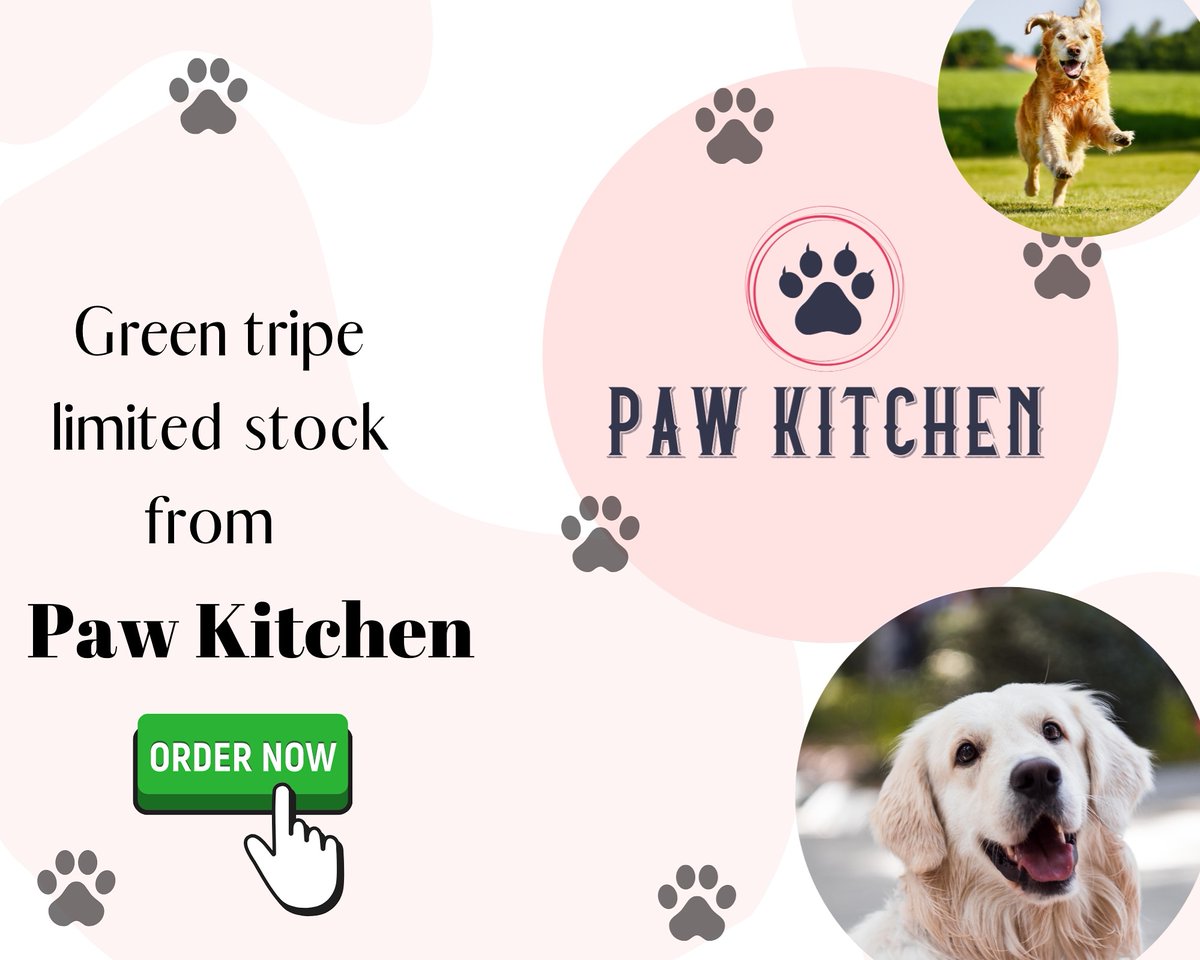 pawkitchen's tweet photo. Hurry up !!!! Limited stock

#pawkitchen #pawkitchenuae #buildingstrongerfamilies  #excitedforthefuture #dogsofabudhabi #dogsofuae #dogsoftwitter #freshfood #strongerfromwithin #limitedstock #hurryup https://t.co/uK7TsVWLqE