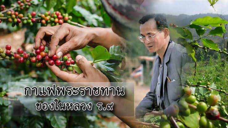 TCeAYNqqC0Z1cGi's tweet photo. ผมเป็นคนรุ่นใหม่​ที่รักในหลวง​เเละขอเทิด​ทูนสถาบัน​พระมหากษัตริย์ไว้เหนือ​สิ่งอื่นใด​ #ในหลวงรัชกาลที่9 https://t.co/lPVlhMMhmb