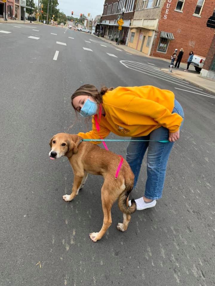 Chisum Beta ❤️‘s the Humane Society. CHS Betas put in 98 service hours this weekend at the city Pumpkin Festival. Great job serving your community!